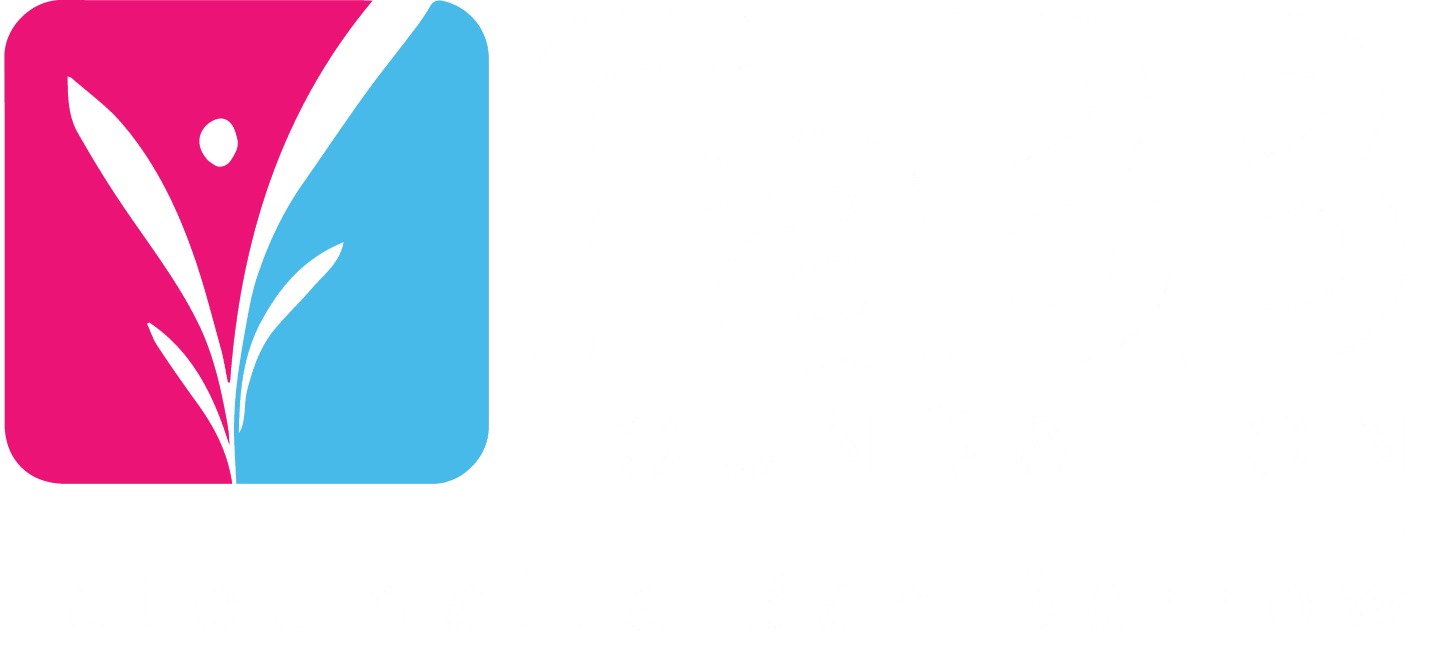 New Africa Foundation